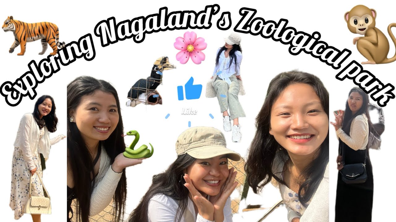 Explored the zoological park in Nagaland 😱. Honest review about the park🤩🥲 #zoologicalpark 