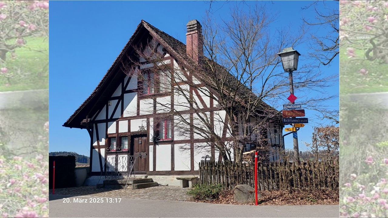 20. März 2025  am Lützelsee bei Hombrechtikon ZH