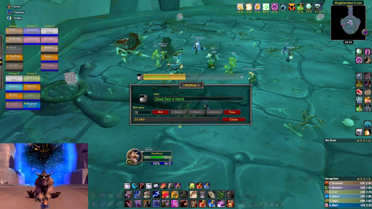 WoW TBC Classic Gruul and Mag - Feral Druid