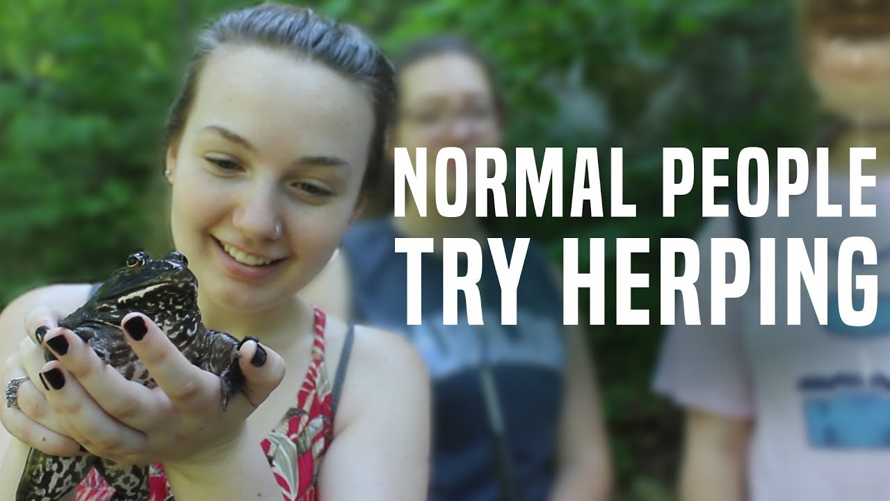 Normal People Try Field Herping!