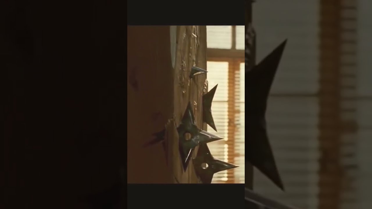 Ninja Assassin Fight Scence