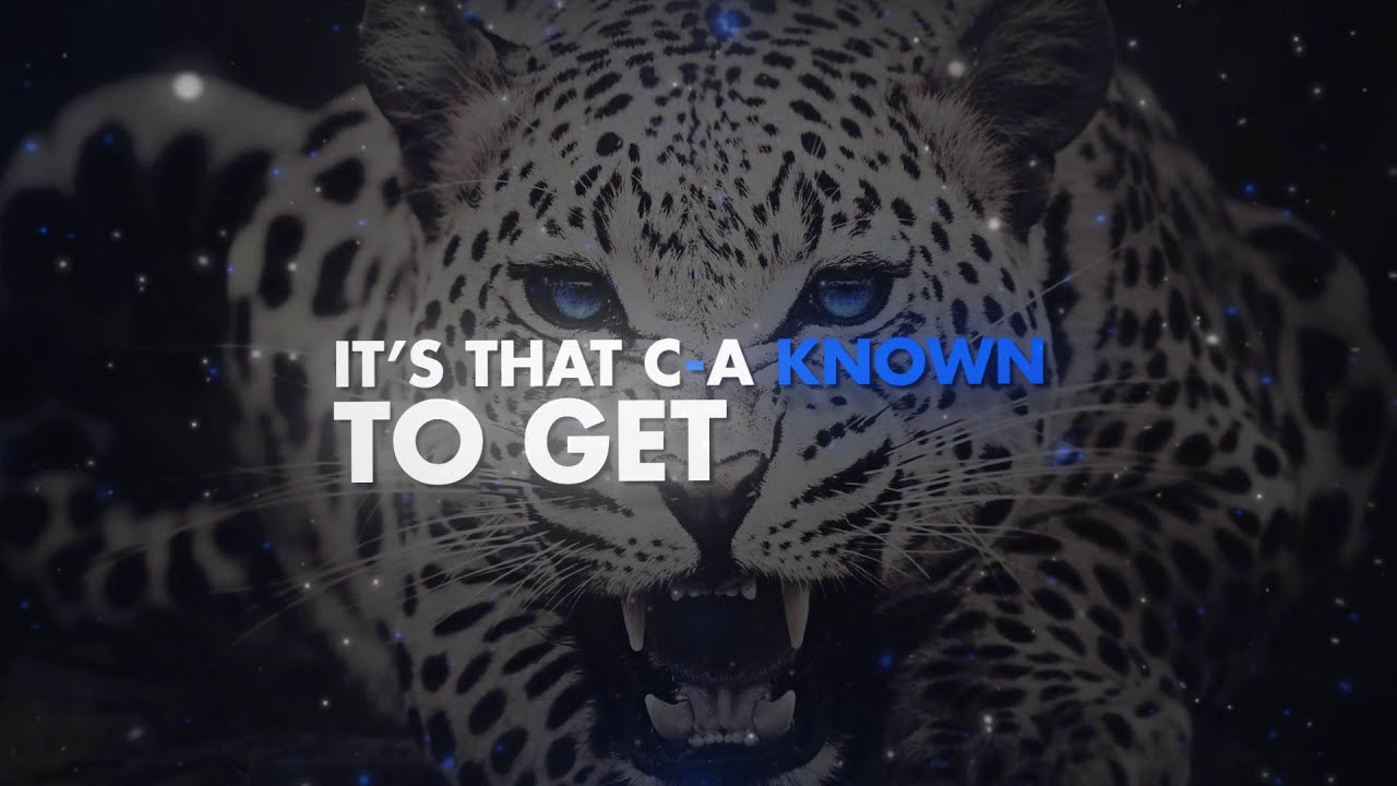 Cheer Athletics Cheetahs 20-21