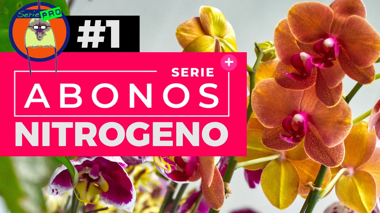 Serie Abonos Parte 1 | NITROGENO