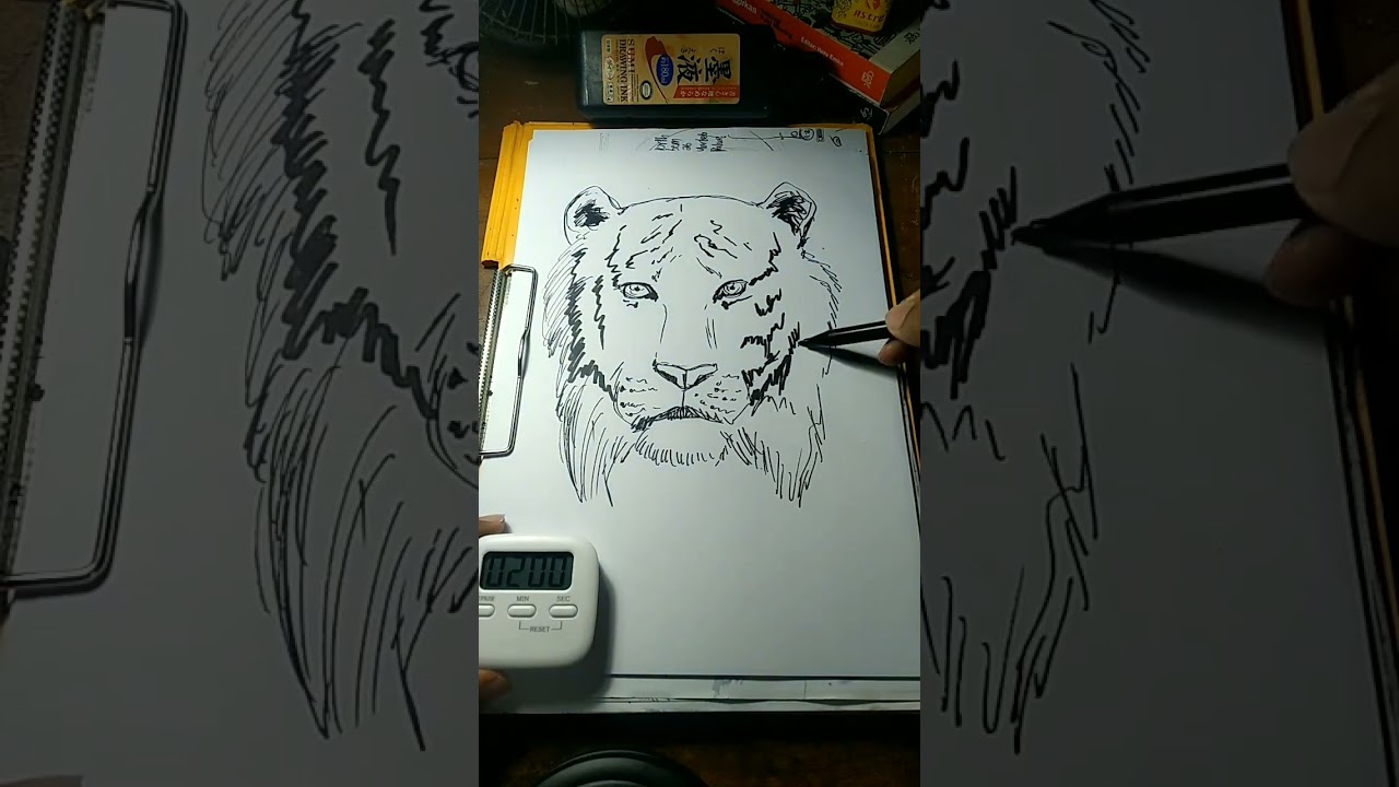 Tutorial gambar macan dalam 5 menit no root. #tutorial #harimau #animaldrawing #macan #sketch
