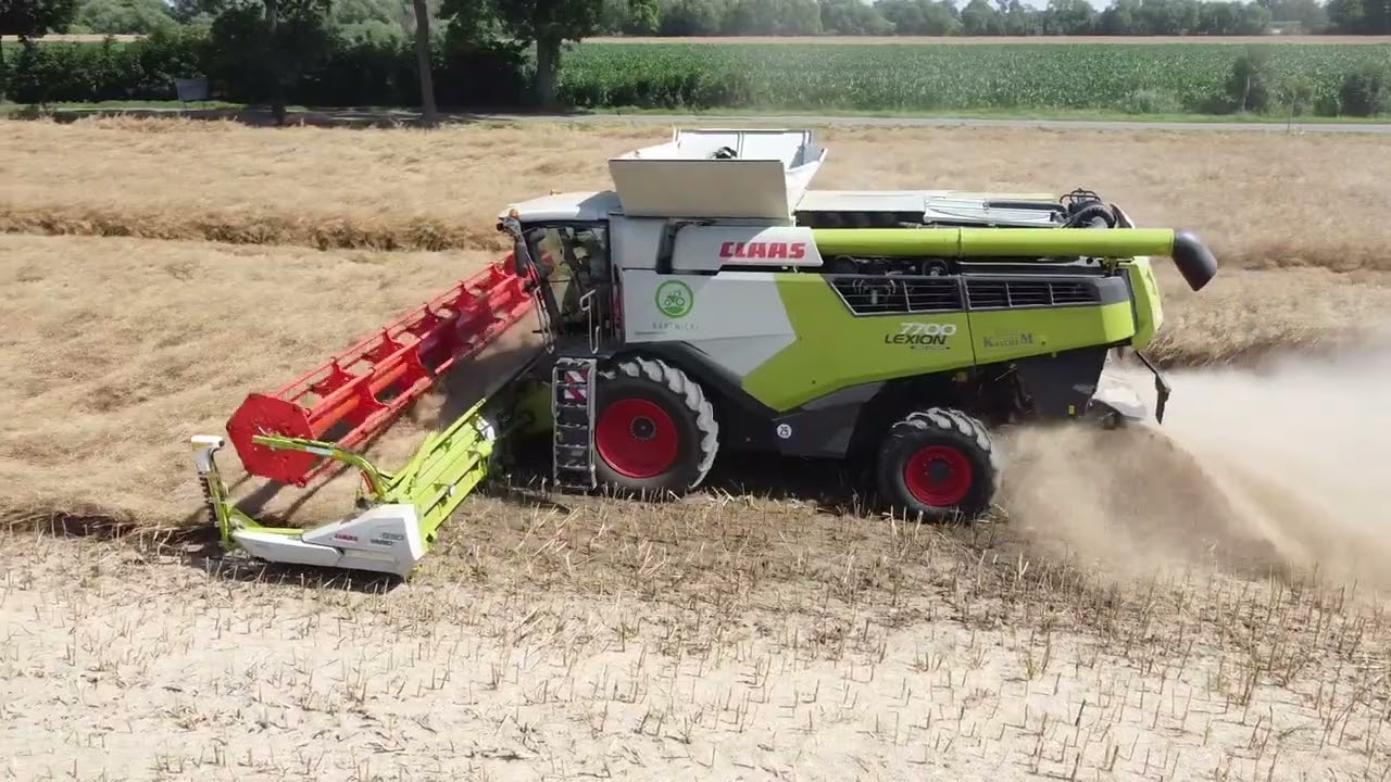 Żniwa w spółce Caldena 2022 | Claas Lexion 7700