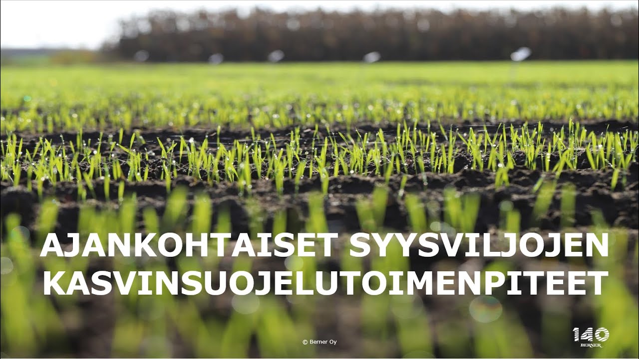 Ajankohtaiset syysviljojen kasvinsuojelutoimenpiteet webinaari