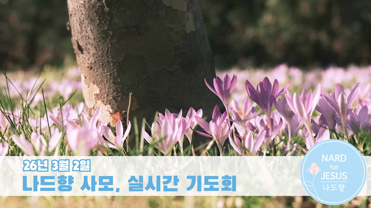 26/03/02 나드향 사모, 실시간 기도회