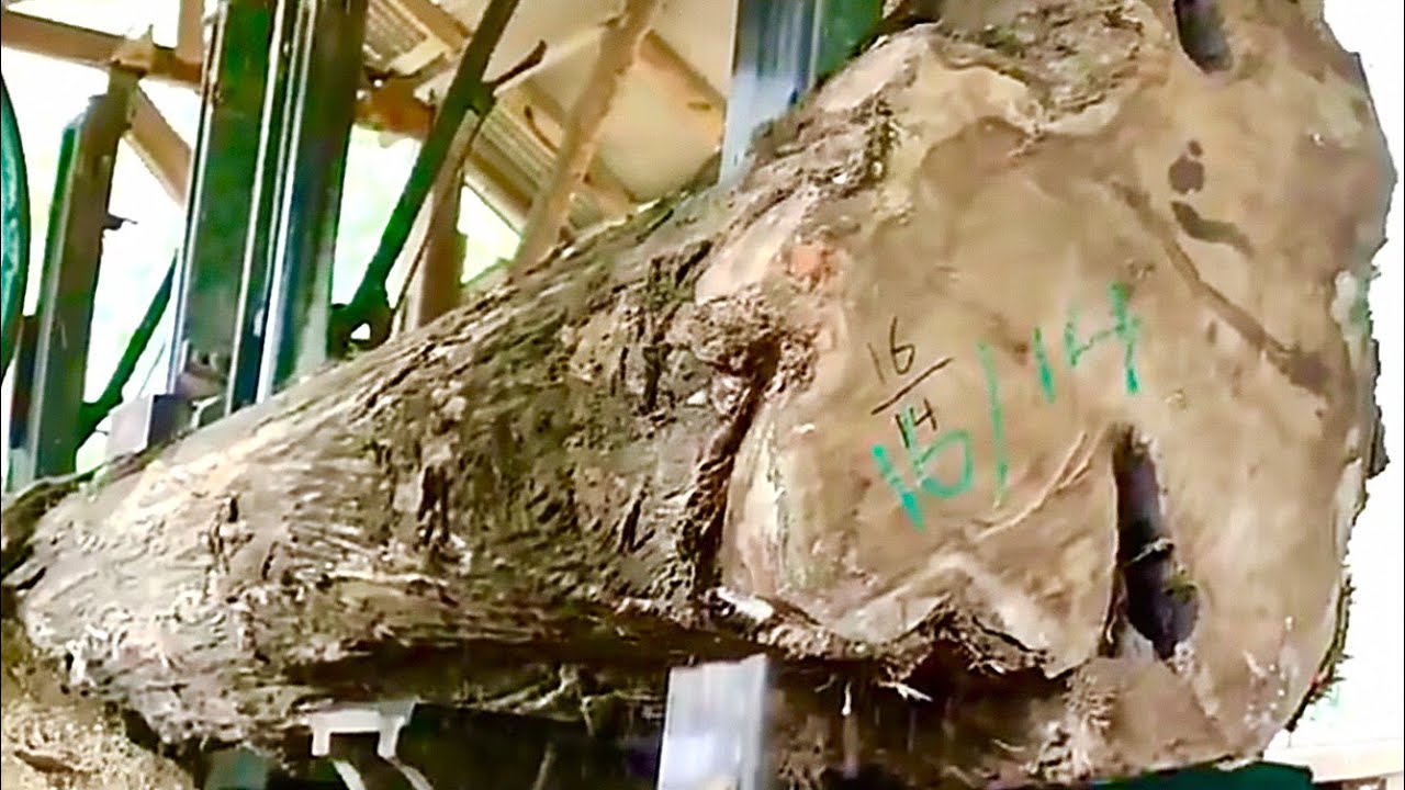🌲Красота текстуры старой тиковой древесины легендарна🌲