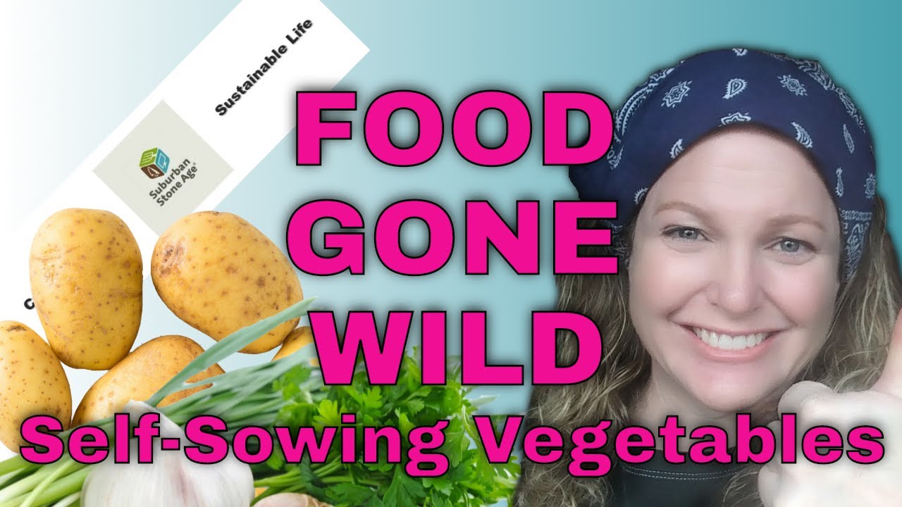Food Gone Wild - Self Seeding / Self Sowing Vegetable Garden Volunteers
