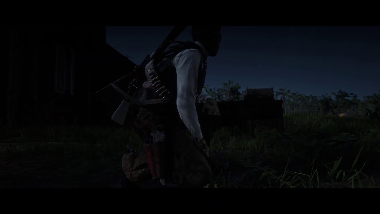 RDR2 PS5 gameplay