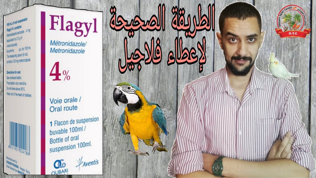 الطريقة الصحيحة لإعطاء فلاجيل (Flagil) للطيور . البلونشيمون (الحلقة الثالثة)