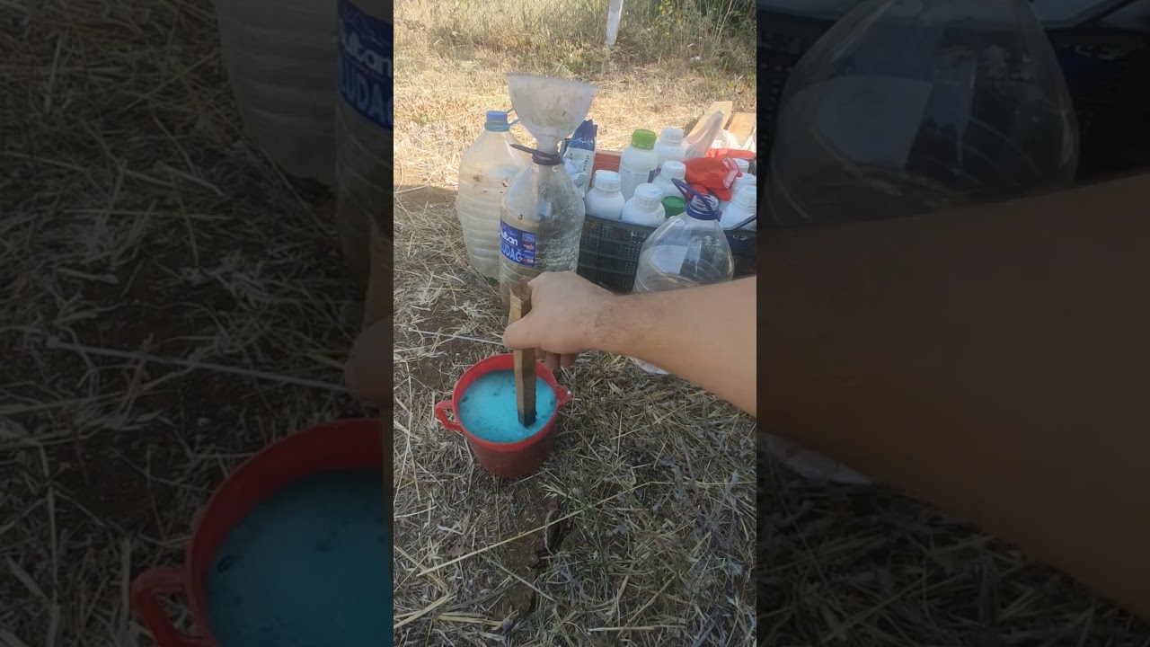 Ceviz Bahçesi İçin Yapraktan Gübre Nasıl Hazırlanmakta