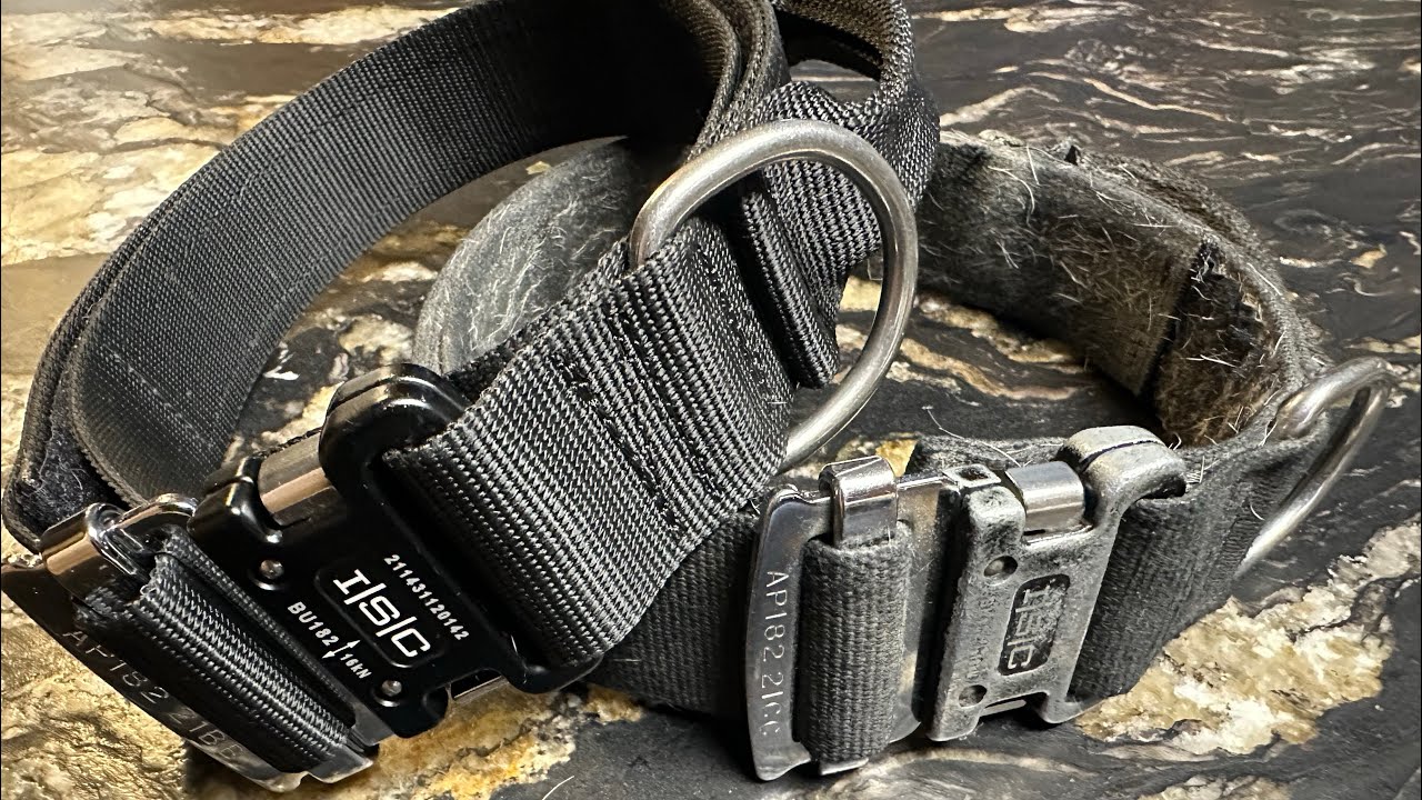 JTAC K9 - Top Dog Collar 2 Year Review! 🐾 Best Tactical Military Grade 