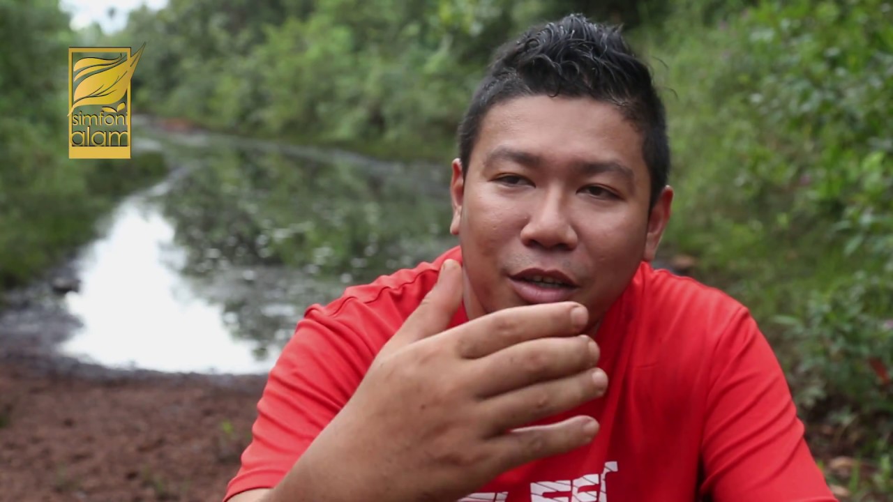 SIMFONI ALAM EP : WIRA PELAGA FULL HD