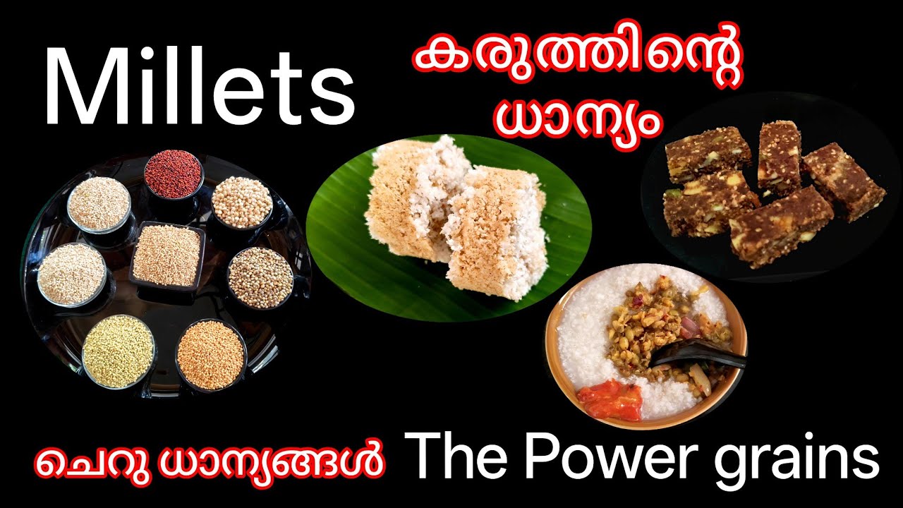 Millets Super Grains🌾പുട്ട് മുതൽ കഞ്ഞിവരെ കാണാം! ആരോഗ്യ ത്തിന് മില്ലറ്റുകൾ /Curry Vep 5234
