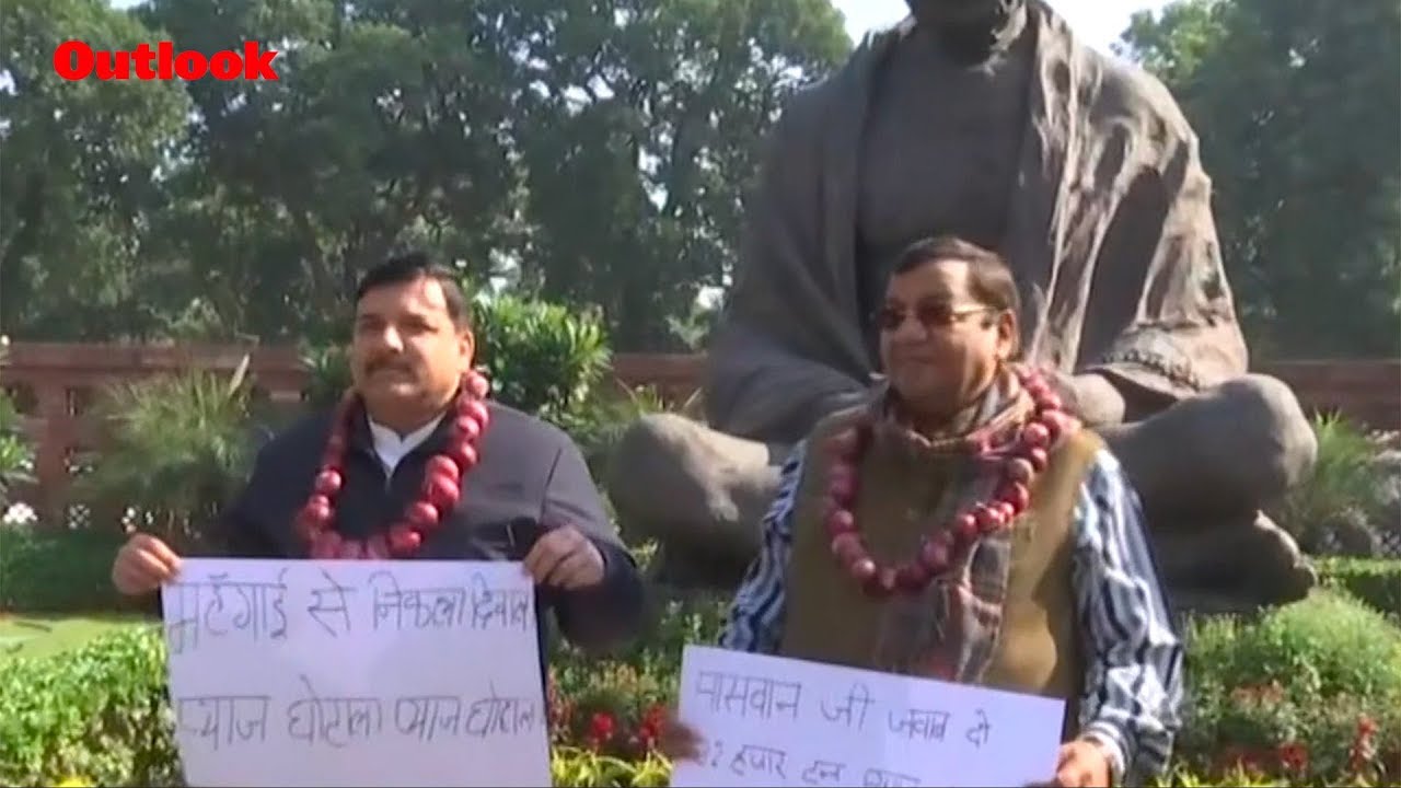 AAP Leaders Protest Against Onion Price Surge