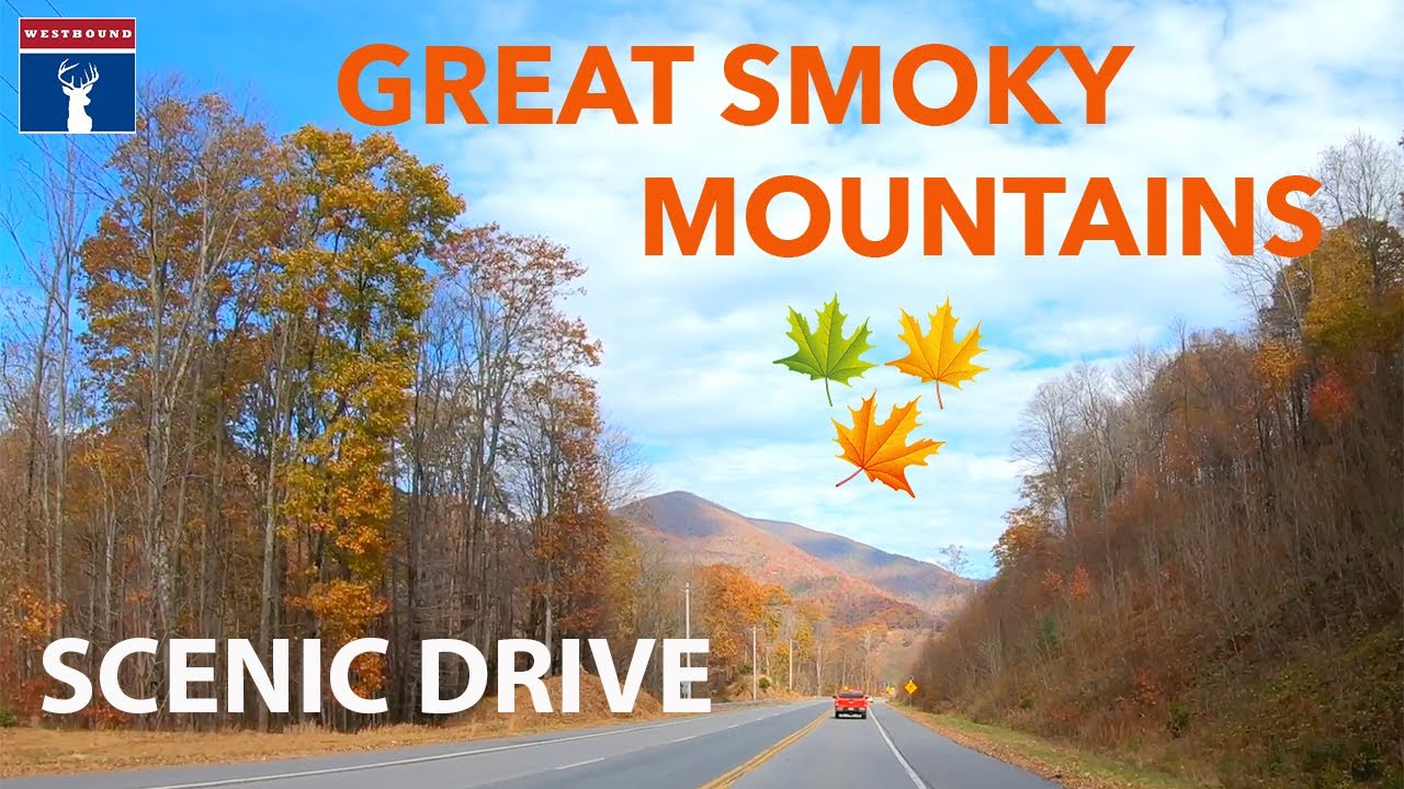 Scenic drive to Maggie Valley, Great Smoky Mountains | Autumn Season | North Carolina