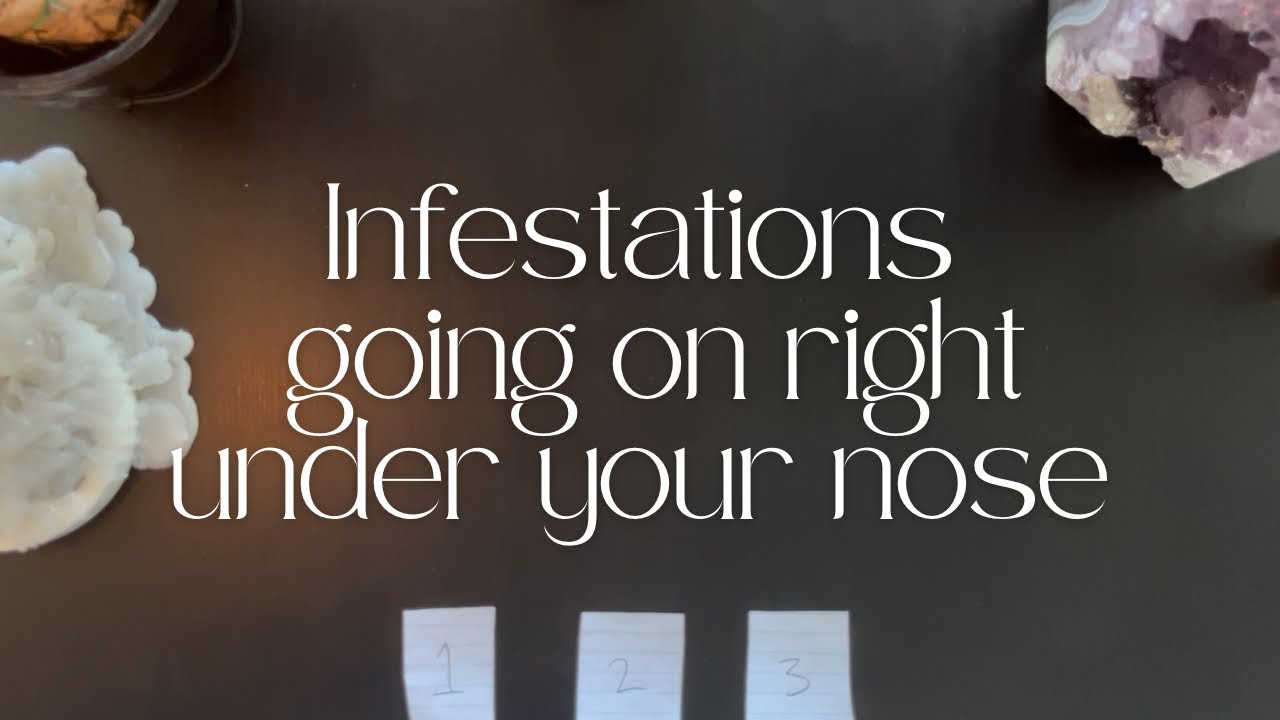 What infestation is happening? | Whats happening right under your nose? | Pick A Card Reading 🪬 💫🧿 