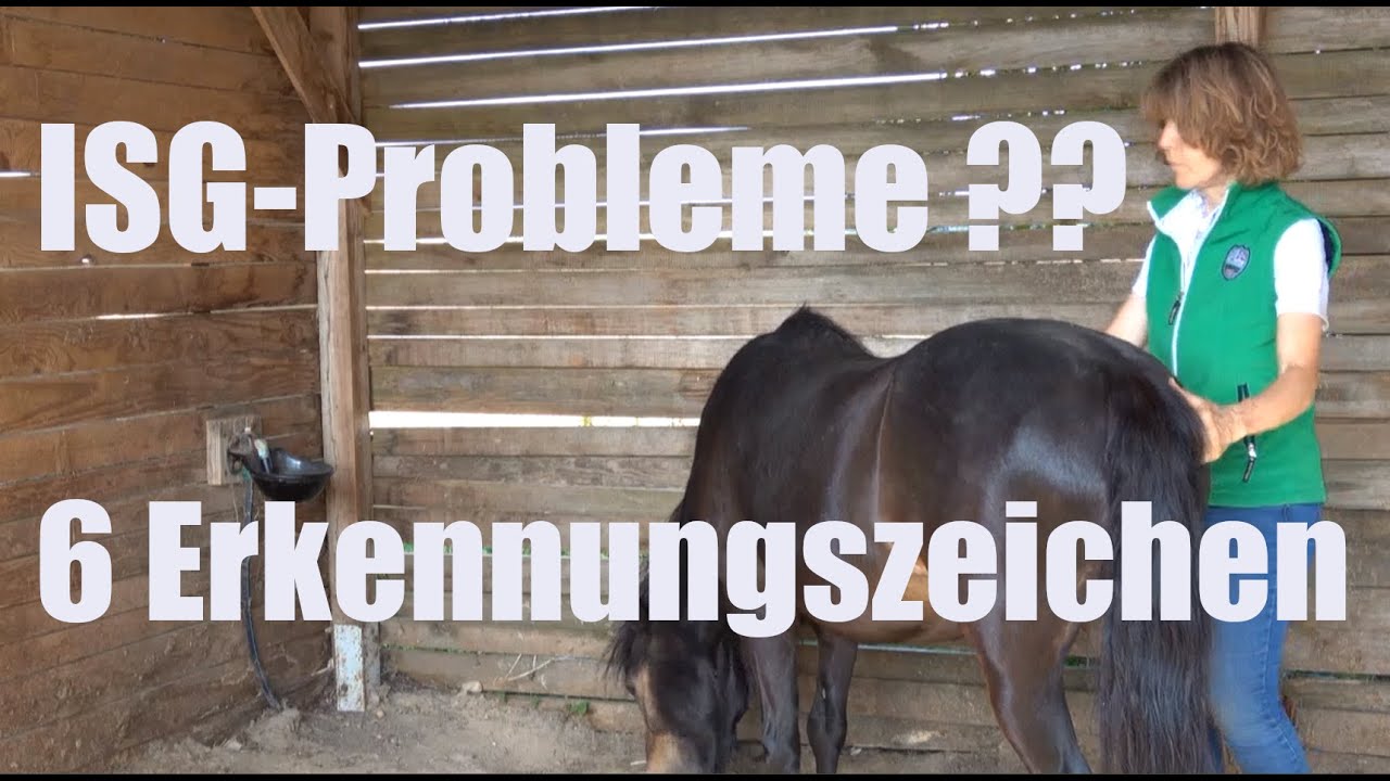 Probleme im Kreuzdarmbeingelenk beim Pferd