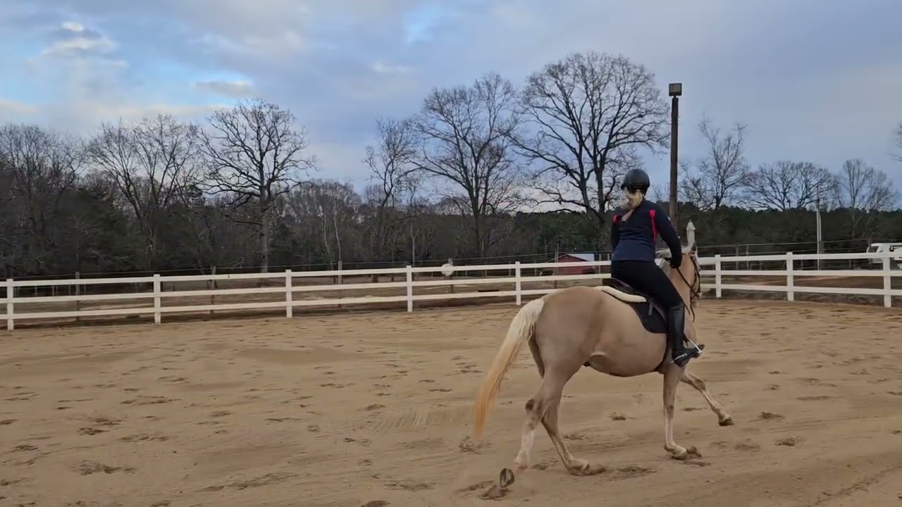 Lexie Lesson 1.22.26