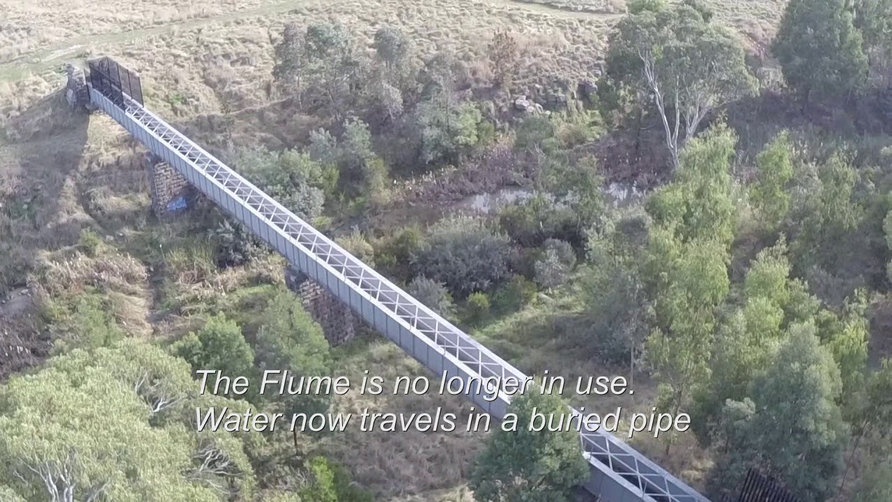 Mernda Flume