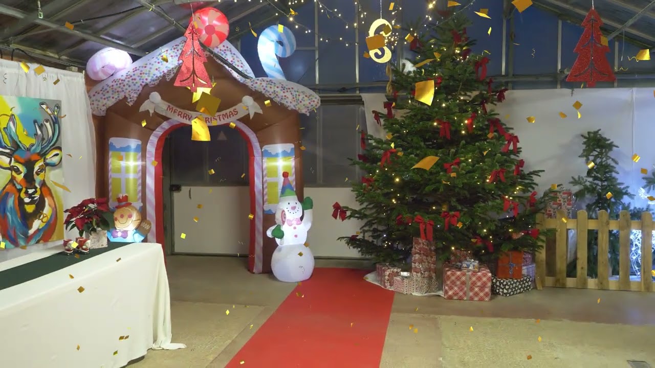 APEI Marché de Noël 2025