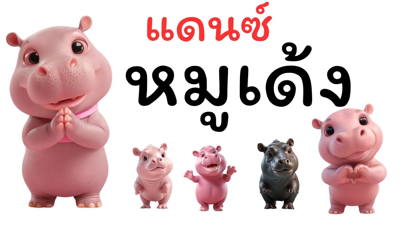 หมูเด้ง แดนซ์ #หมูเด้ง #หมูเด้งฮิปโป #ฮิตในtiktok #หมูเด้ง #หมูเด้งหมูเด้ง #หมูเด้งแดนซ์ #moodeng