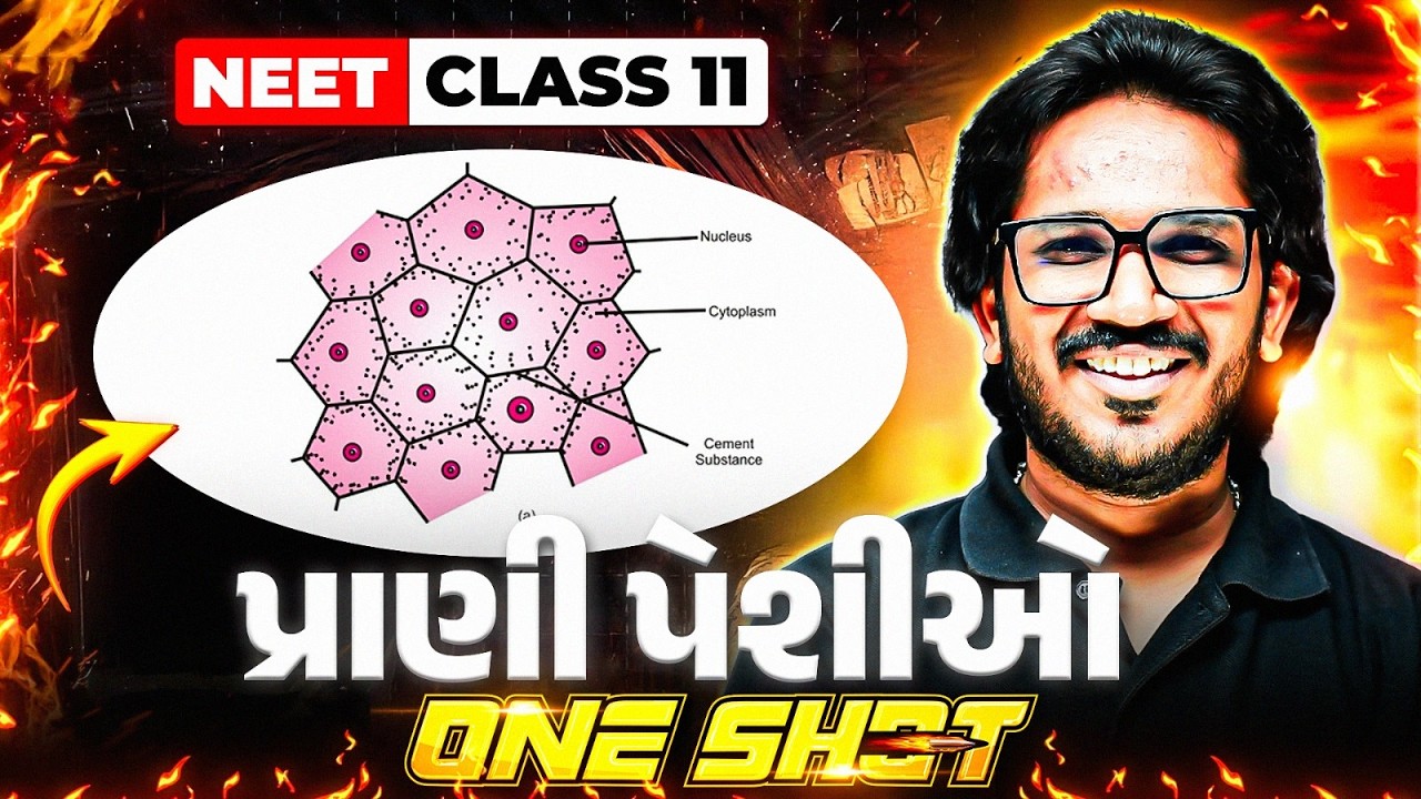 પ્રાણી પેશીઓ | Animal Tissue One Shot in Gujarati | COMPLETE ZOOLOGY | NEET #Umeed