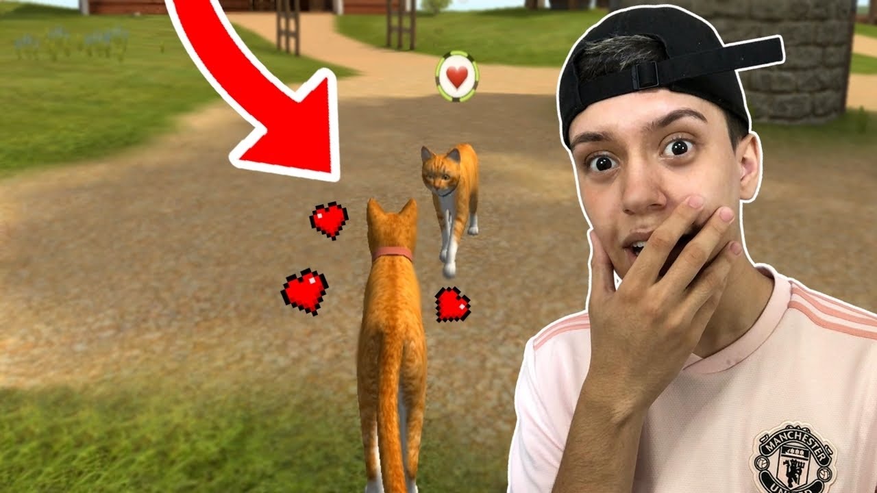 CONSEGUI UMA NAMORADA E LUTAMOS CONTRA UMA RAPOSA!! (Cat Simulator)