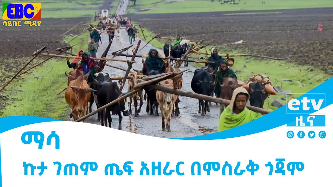 ኩታ ገጠም ጤፍ አዘራር በምስራቅ ጎጃም   Etv | Ethiopia | News