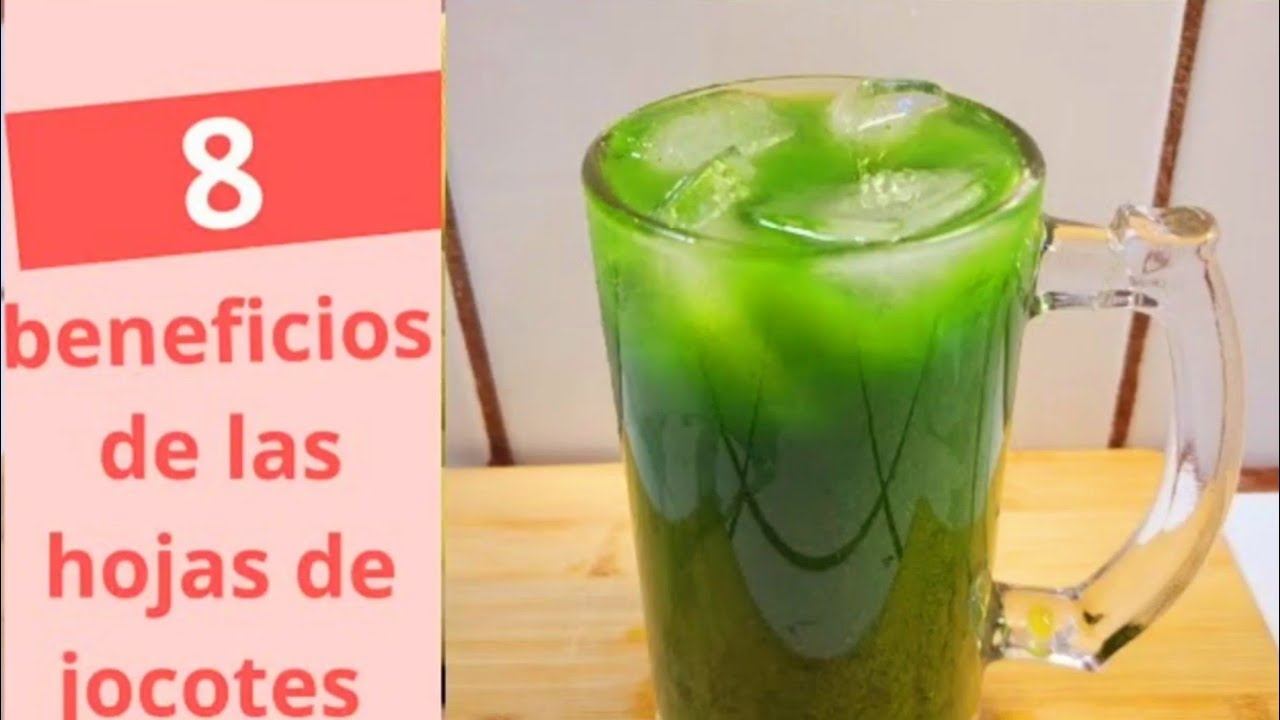 Refresco de hojas de jocotes delicioso y saludable #elsalvador
