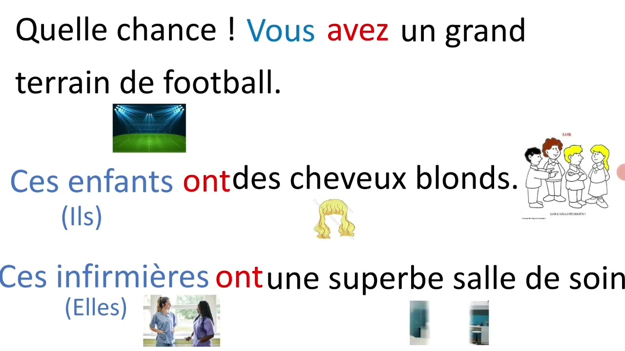 Exprimer la possession avec le verbe 