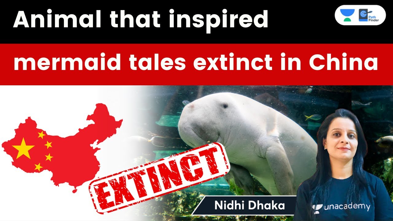 Dugong functionally extinct in China due to habitat degradation and hunting
