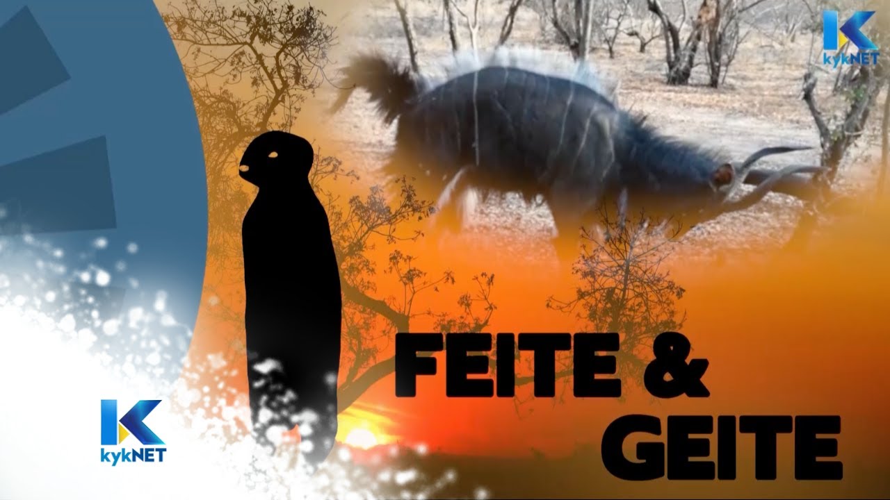 Ronde 1- Kwêla Feite en Geite 2019 | kykNET