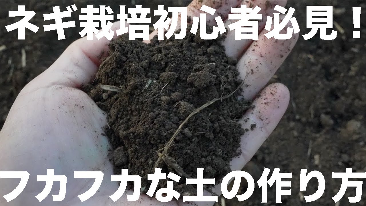 【団粒構造とは！？】ふかふかな土が出来ました！ネギ栽培の要！水捌けが良い土を作るための秘訣とは？