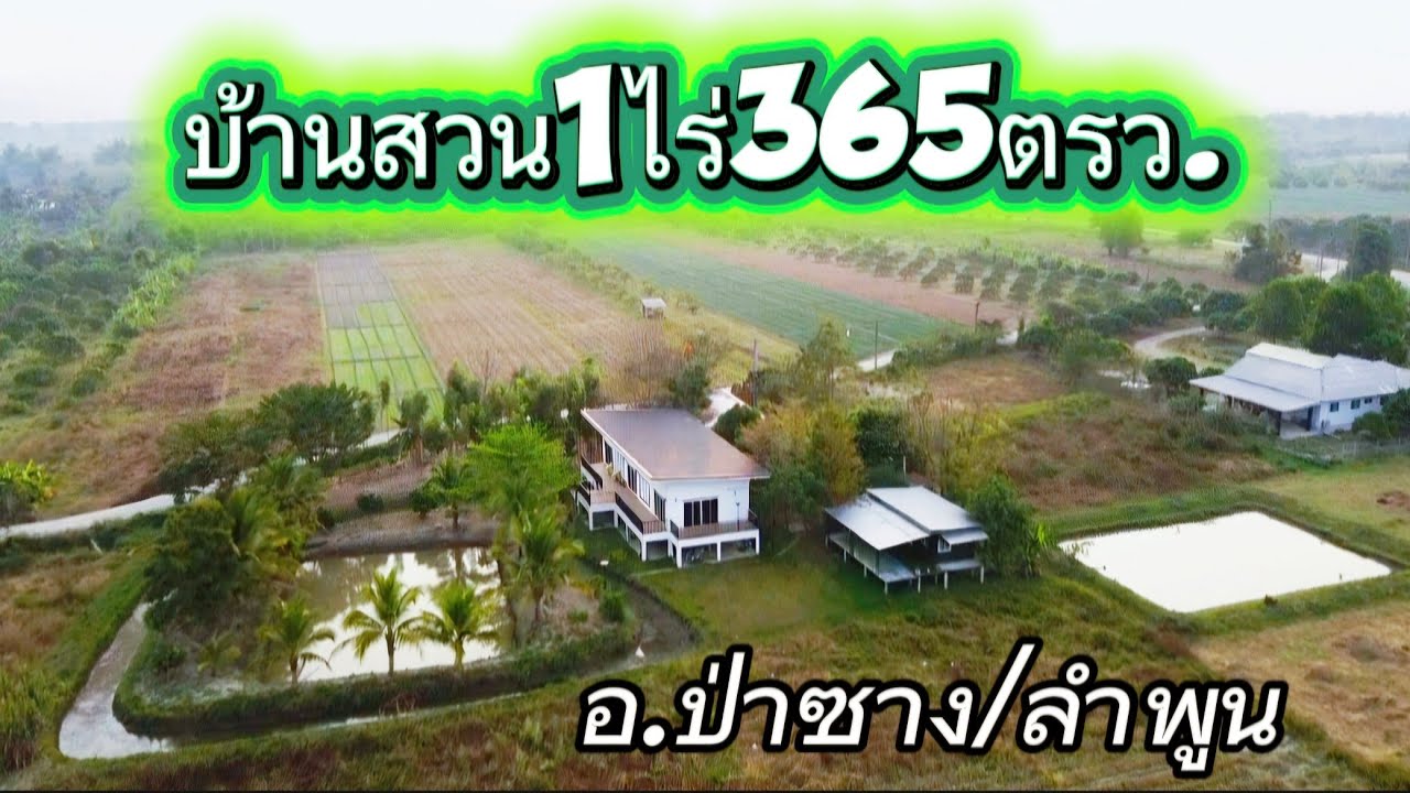 บ้านสวนEP172.บ้าน2นอน2น้ำ1ครัวเนื้อที่1ไร่365ตรว.อ.ป่าซาง/ลำพูน