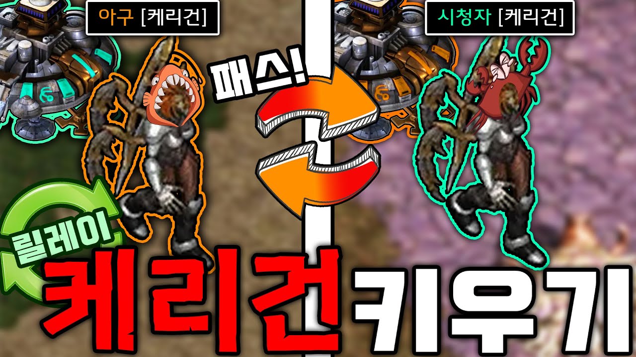 바꿔가며 키운다고?? 