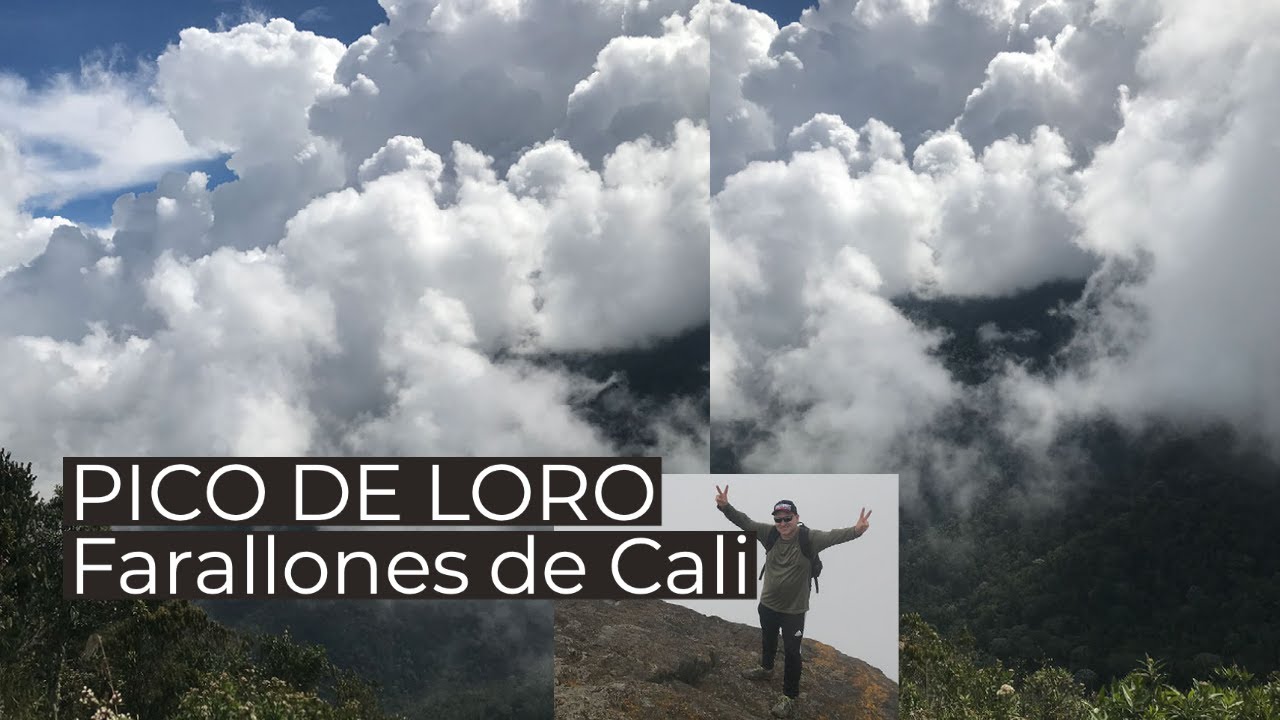 PICO DE LORO Parque Nacional  Natural Farallones de Cali