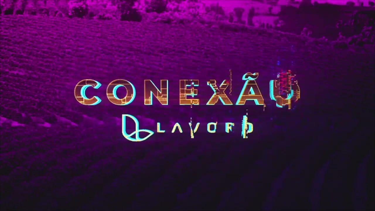 Conex&atilde;o Lavoro Caf&eacute; - Veja como avaliar o sistema radicular de mudas de caf&eacute;