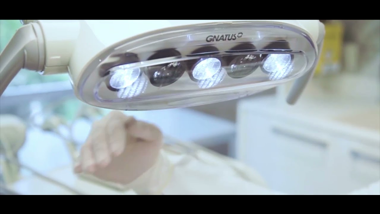 VIDEO INSTITUCIONAL GNATUS