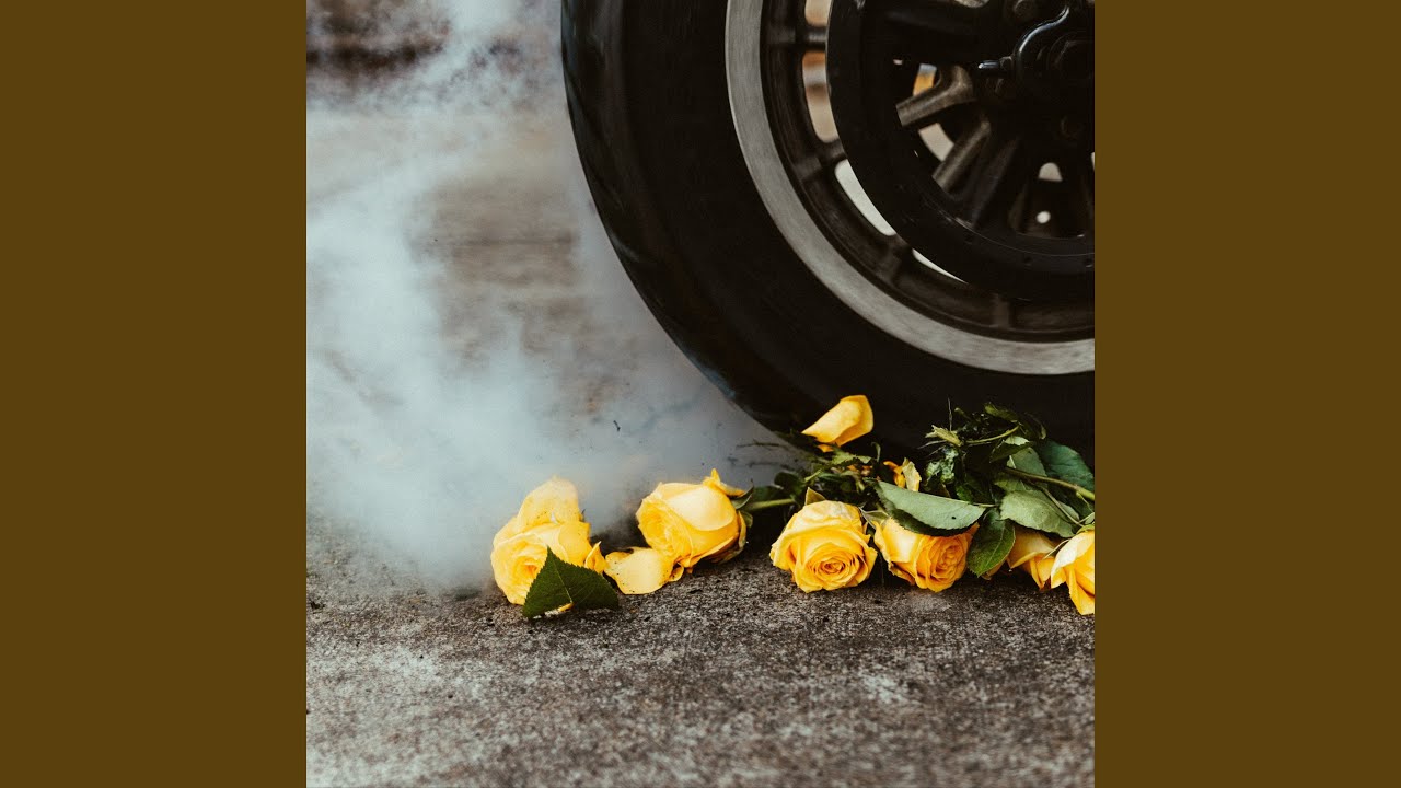 Yellow Roses