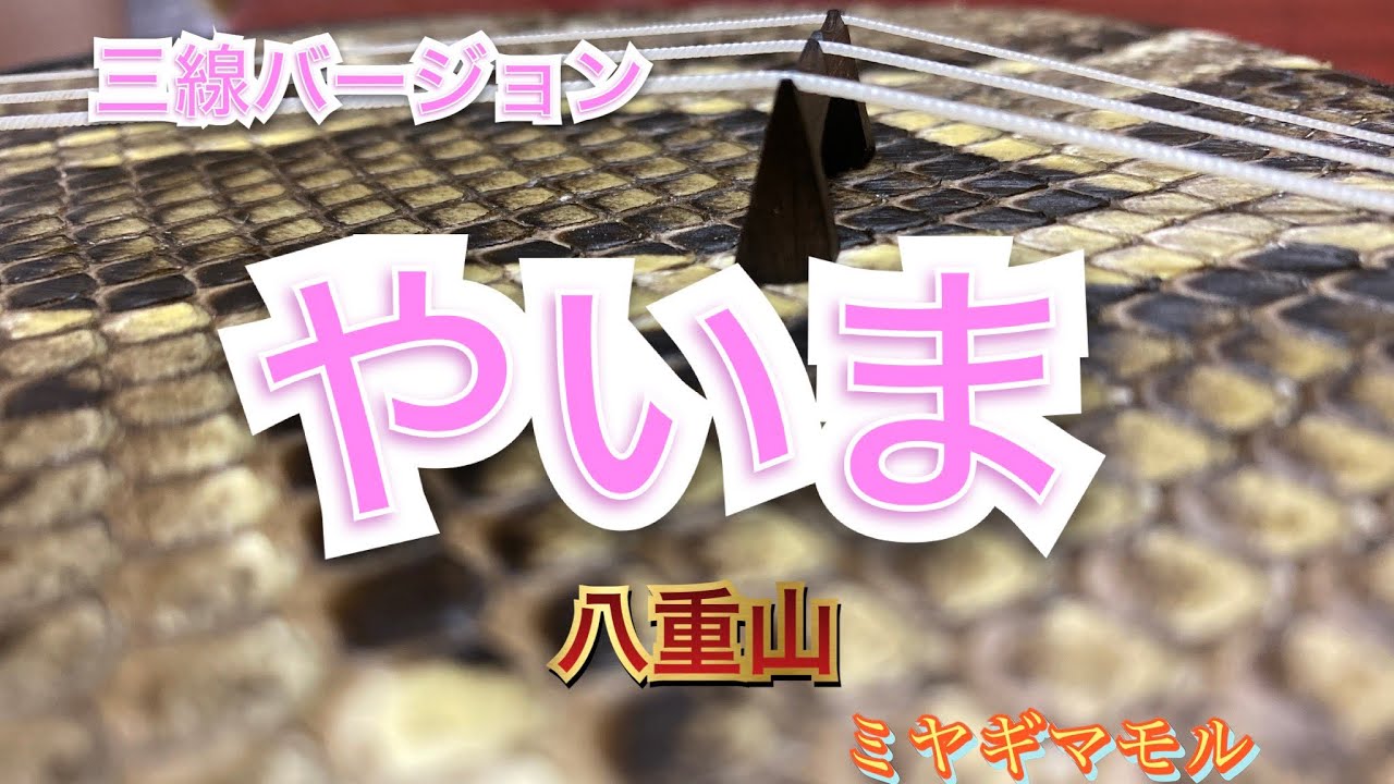 やいま（八重山）ミヤギマモル三線バージョン