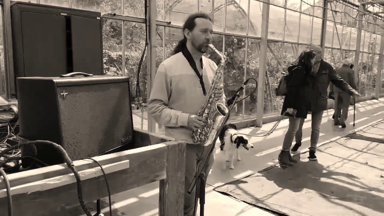 Oh la Belle Vie…  olivier Waleckx, sax cover