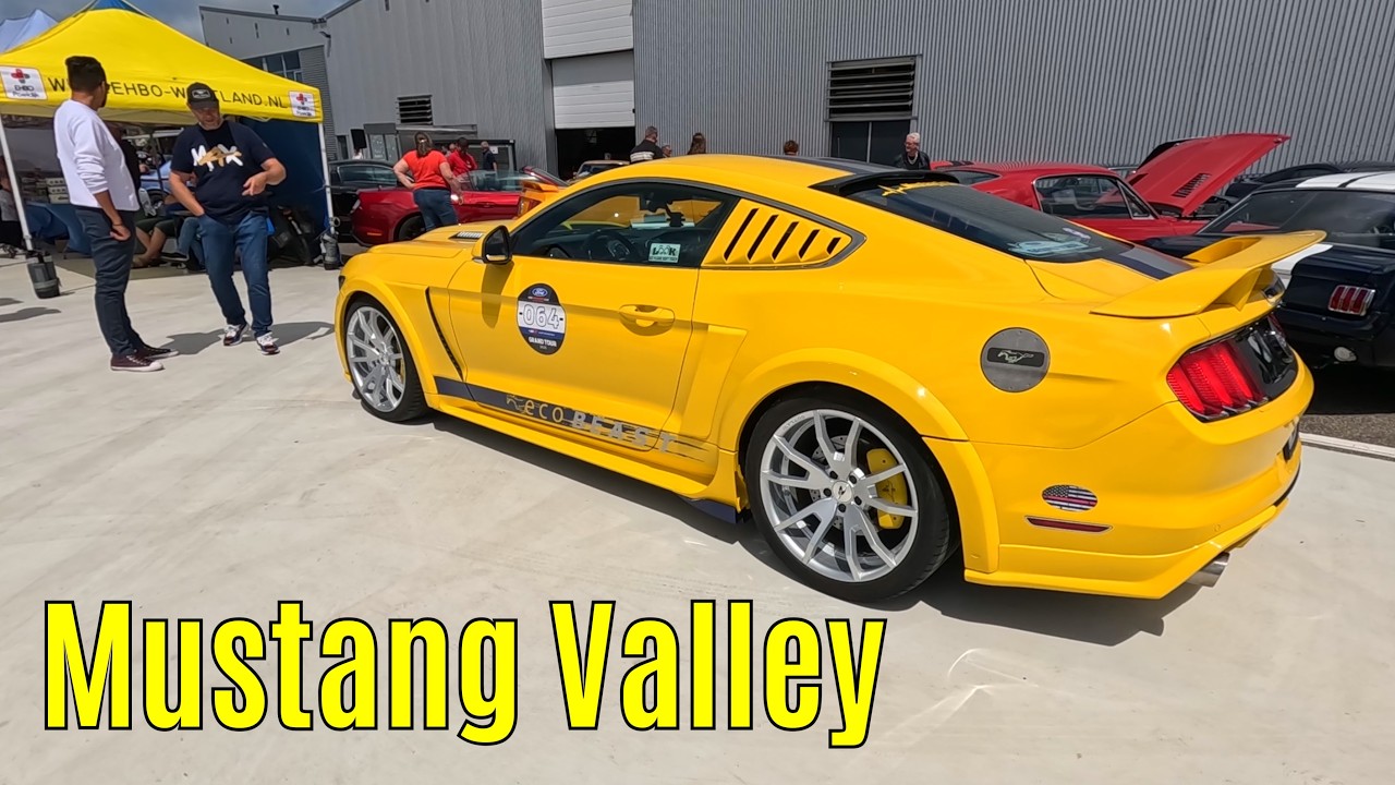 Mustang Valley 2026 part 3