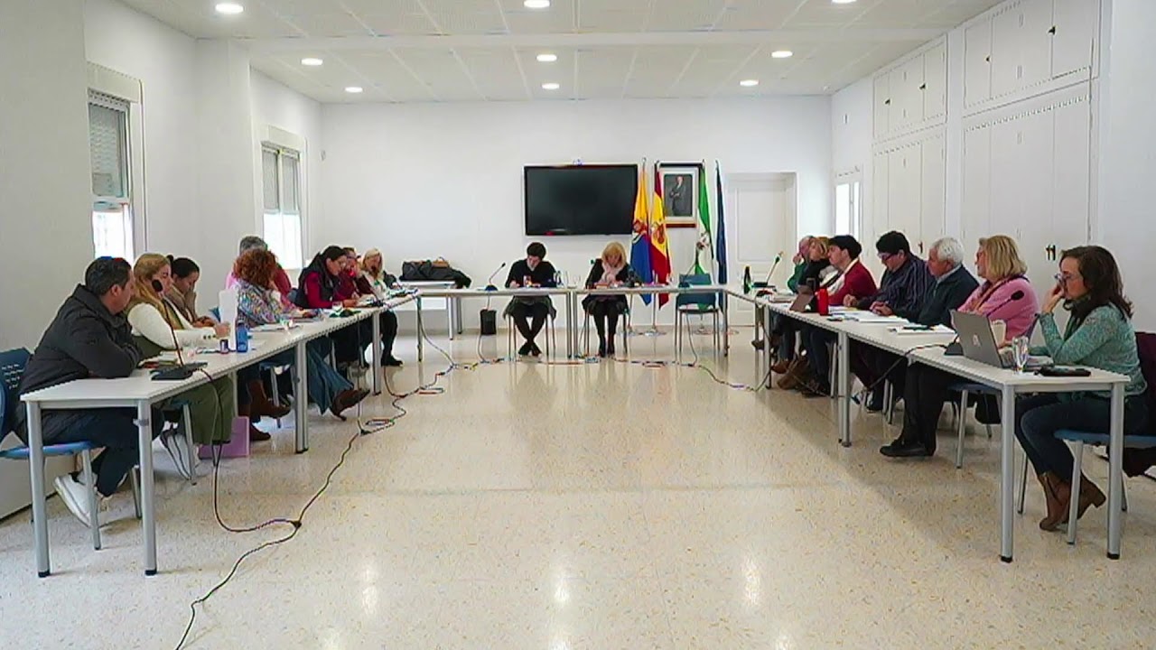 Pleno 30 de enero de 2026