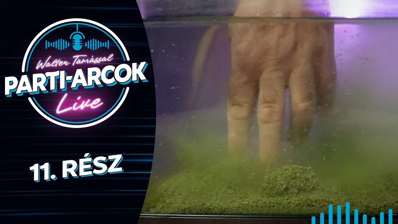 Parti-Arcok Live - Walter Tamással - 11. rész
