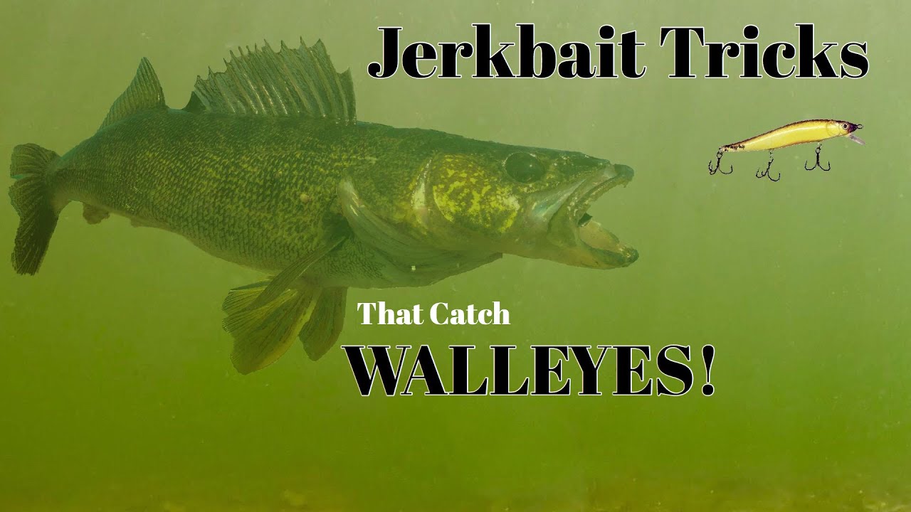 Keys to Catching Jerkbait Fish