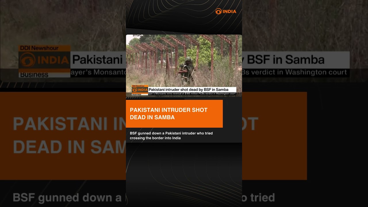 Probe underway as Pakistani intruder shot dead after repeated warnings from the BSF personnel