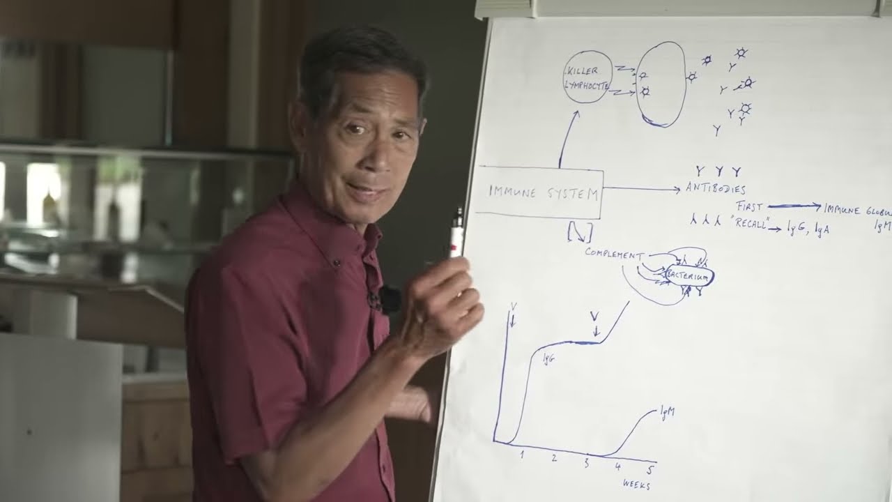 Die Gefahr der mRNA Impfstoffe, biologisch erkl&auml;rt!