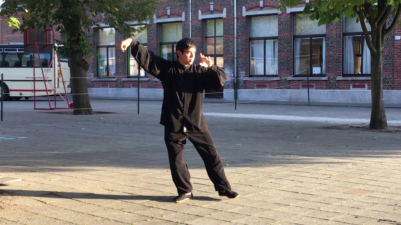 Taiji quan style Yang 2e partie de la forme (Taiji quan Yang style 2nd form part)